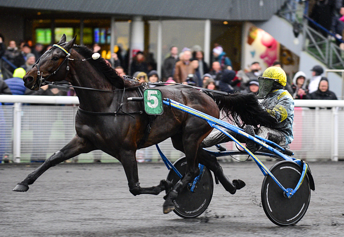 Pronostic quinté gratuit Prix Octave Douesnel 2025