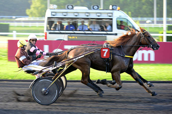 Pronostic quinté gratuit Prix Angoumois 2025