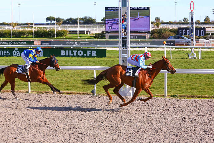 Pronostic quinté gratuit Prix de Cannes 2026