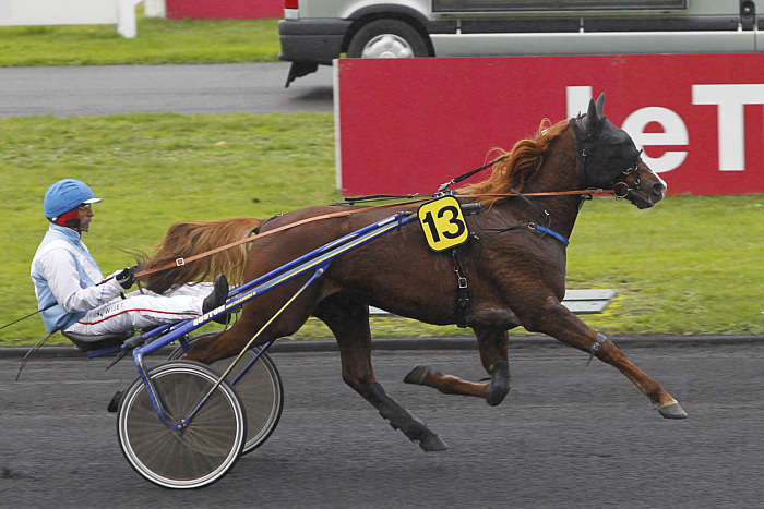 Pronostic quinté gratuit Prix Erbray 2026