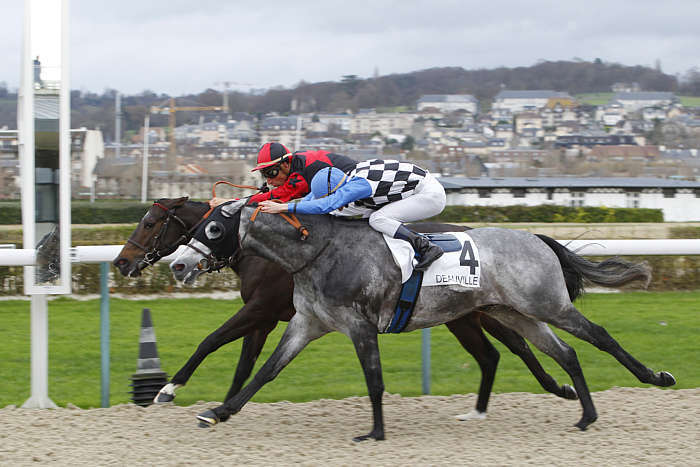Pronostic quinté gratuit Prix de Cherbourg 2026