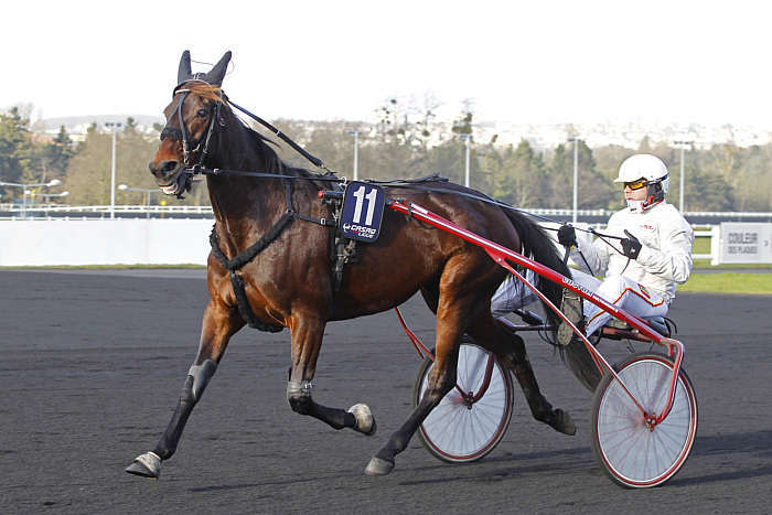 Pronostic quinté gratuit Prix du Luxembourg 2026