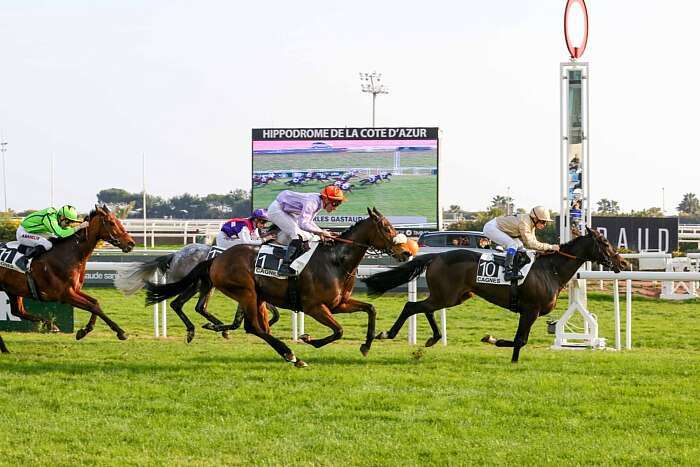 Pronostic quinté gratuit Prix de Marseille 2026