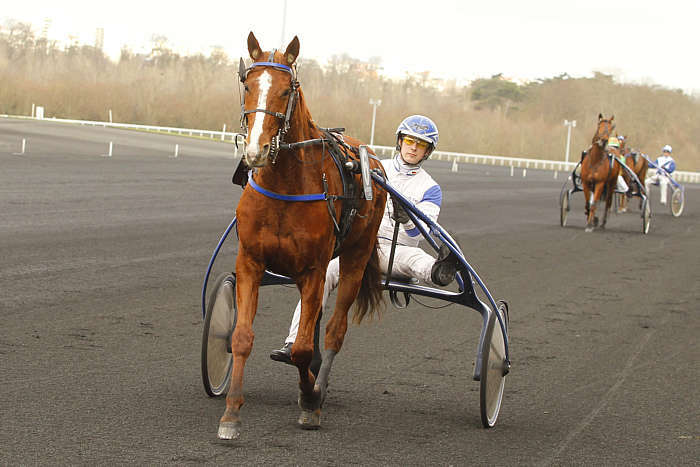 Pronostic quinté gratuit Prix de Langeais 2026