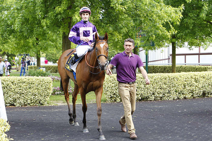 Pronostic quinté gratuit Prix du Treport 2026