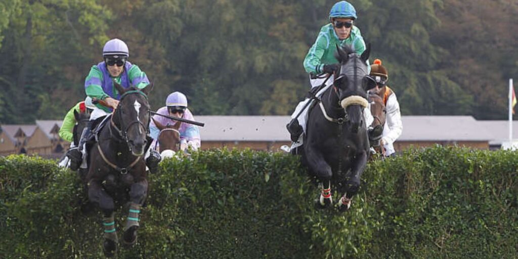 Pronostic quinté gratuit Prix Annie Hutton 2026