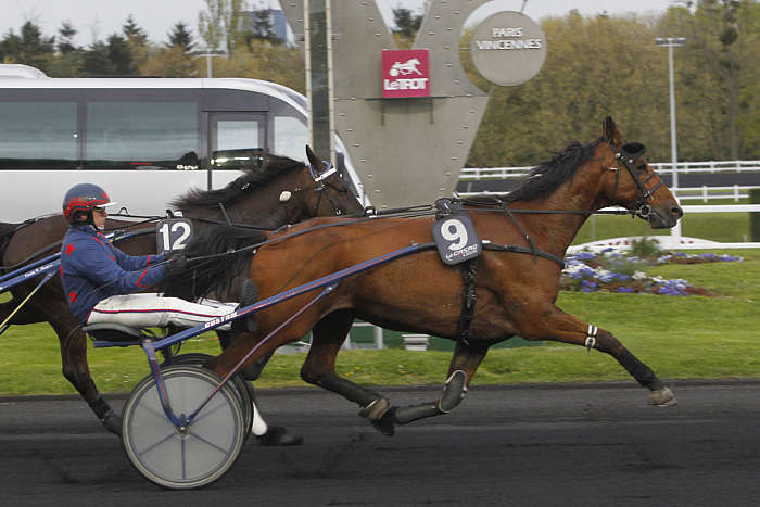 Pronostic quinté gratuit Prix de Chateau-Gontier 2026