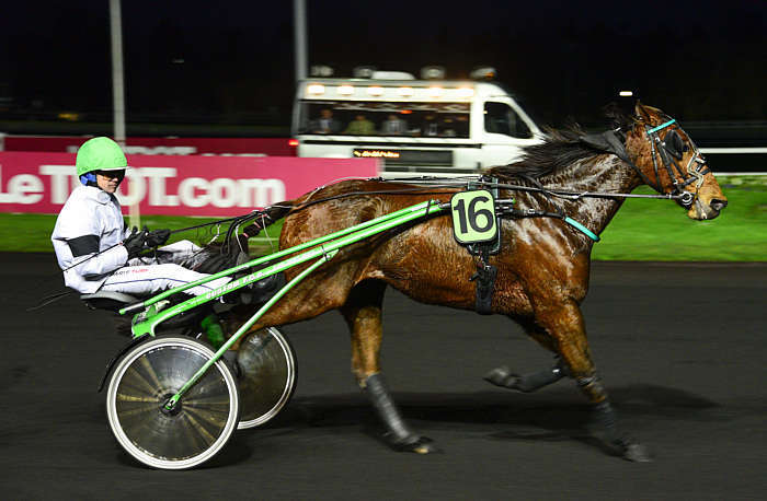 Pronostic quinté gratuit Prix de Chateaurenard 2026