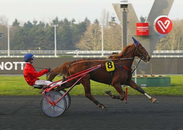 Pronostic quinté gratuit Hippodrome Angers-Ecouflant 2026