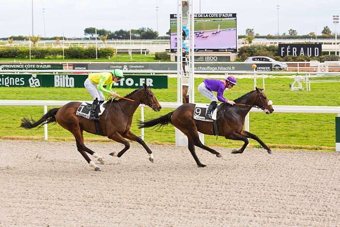 Pronostic quinté gratuit Prix Henri Rossi 2026