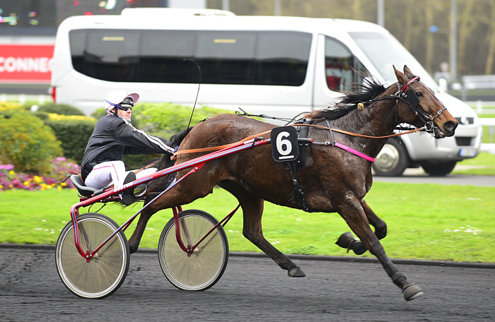 Pronostic quinté gratuit Prix du Cantal 2026