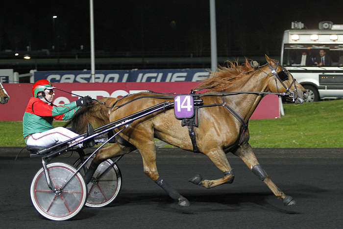 Pronostic quinté gratuit Saint-Pierre la Cour 2026