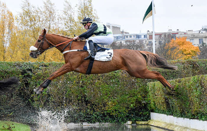 Pronostic quinté gratuit Prix Rose Laurel 2026