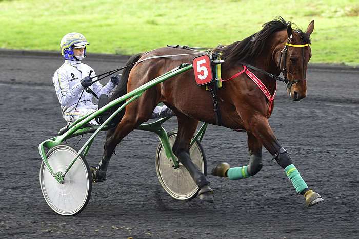 Pronostic quinté gratuit Plateau de Gravelle 2026