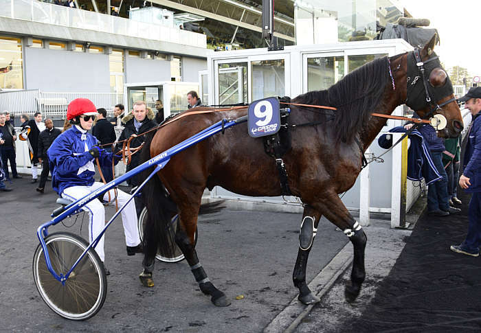 Pronostic quinté gratuit Angers Loire Metropole 2026