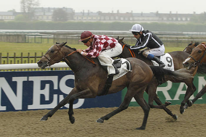 Pronostic quinté gratuit Prix Jocker 2026