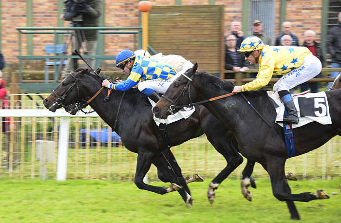Pronostic quinté gratuit Hubert de Catheu 2026