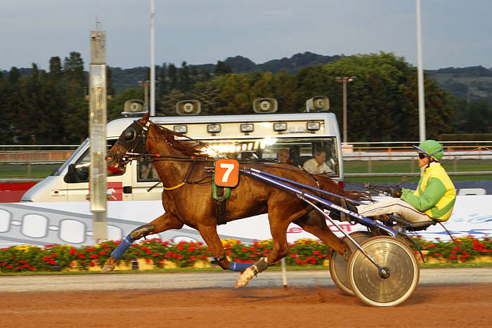 Pronostic quinté gratuit Prix Ville de Vire 2026