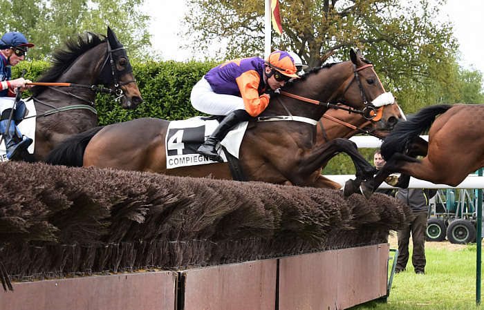 Pronostic quinté gratuit Prix de la Rochelle 2026