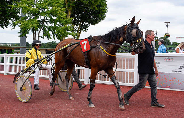 Pronostic quinté gratuit GNT Lyon-Parilly 2026