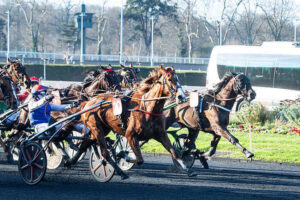 Pronostic quinté gratuit Prix Henri Levesque 2026
