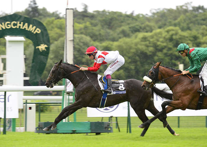 Pronostic quinté gratuit Prix Pavillon Royal 2026