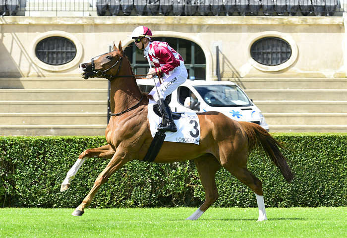 Pronostic quinté gratuit Fontaine Carpeaux 2026
