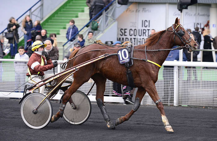 Pronostic quinté gratuit Prix Neptuna 2026