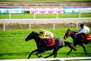 Pronostic quinté gratuit Prix de Monfort 2026