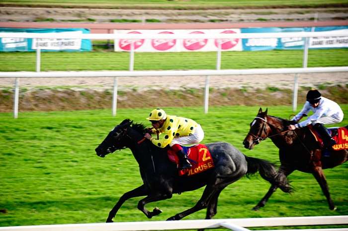 Pronostic quinté gratuit Prix de Monfort 2026