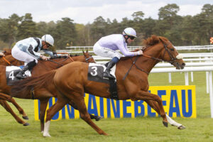 Pronostic quinté gratuit Foret de Fontainebleau 2026