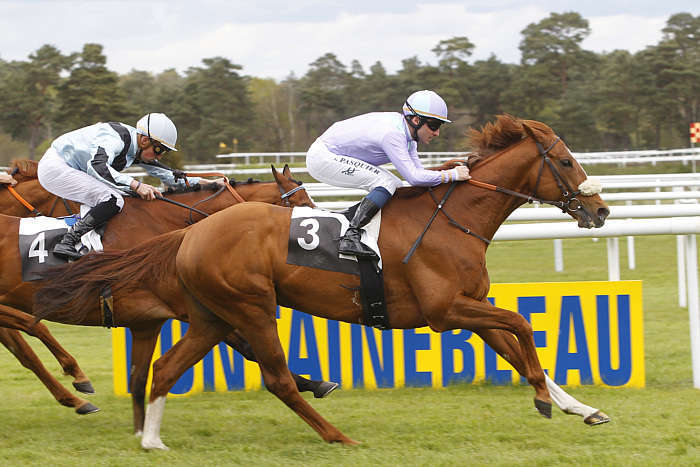 Pronostic quinté gratuit Foret de Fontainebleau 2026