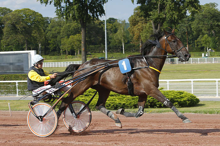 Pronostic quinté gratuit GNT Chateaubriant 2026