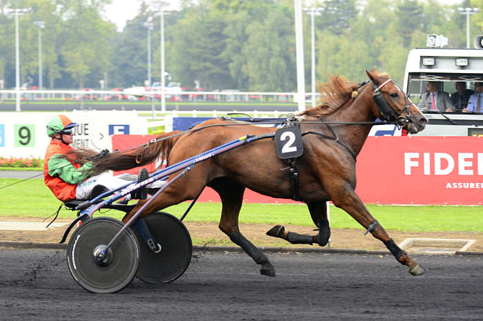 Pronostic quinté gratuit Prix Claudia 2026