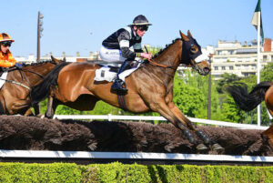 Pronostic quinté gratuit Course Haies Printemps 2026