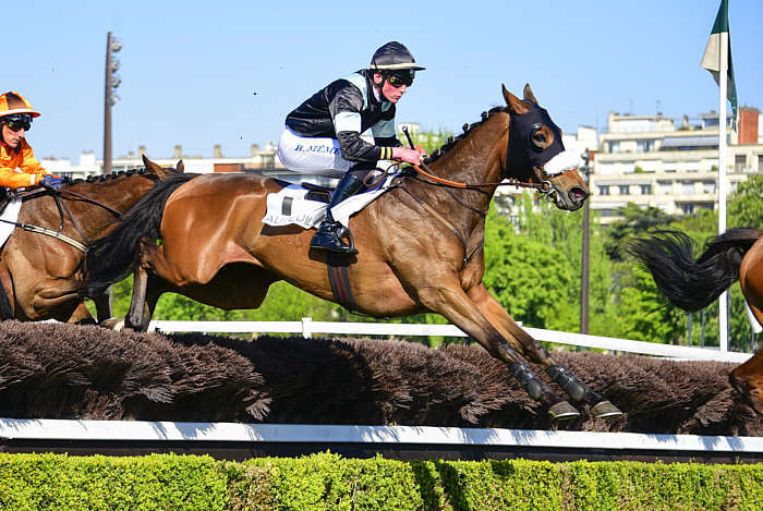 Pronostic quinté gratuit Course Haies Printemps 2026