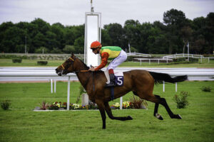 Pronostic quinté gratuit Handicap de Bordeaux 2026