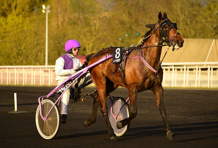 Pronostic quinté gratuit Prix de Chatelperron 2026