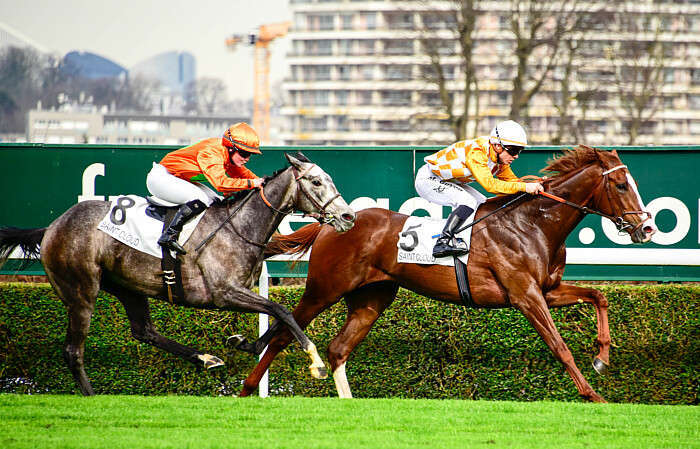 Pronostic quinté gratuit Prix de Fouilleuse 2026