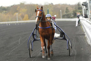 Pronostic quinté gratuit Prix de Niort 2026