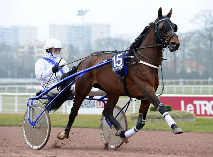 Pronostic quinté gratuit Prix de Marigny 2026