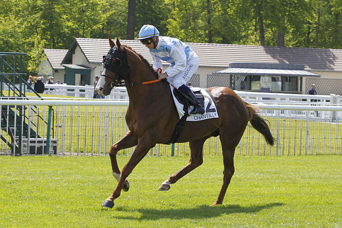 Pronostic quinté gratuit Prix de Montagny 2026