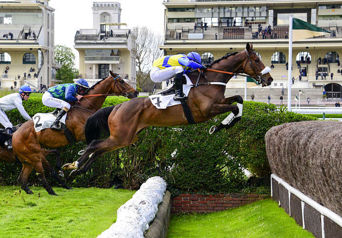 Pronostic quinté gratuit Grand Steeple-Chase Paris 2026