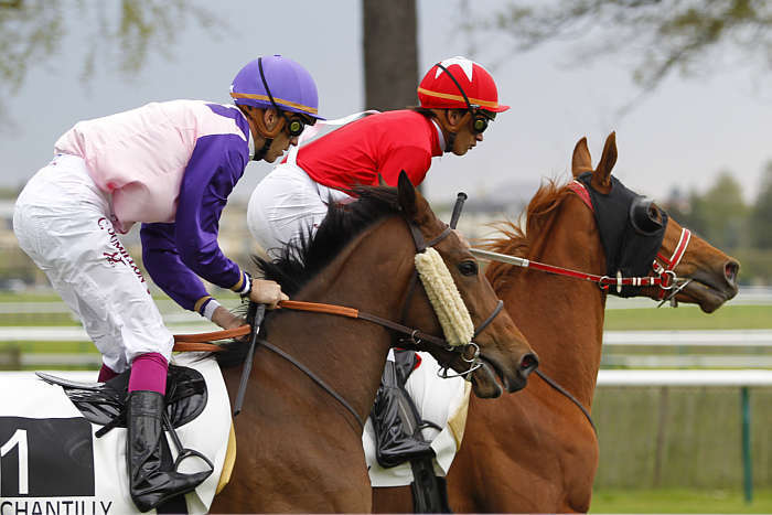 Pronostic quinté gratuit Foret de Chantilly 2026