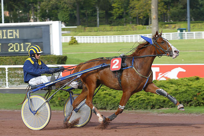 Pronostic quinté gratuit Prix du Rhone 2026