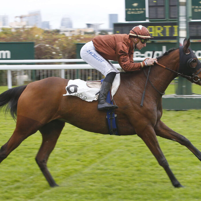 Pronostic quinté gratuit Prix Orangerie 2026