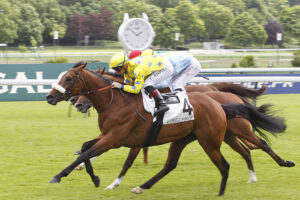 Pronostic quinté gratuit Prix Ile de la Cite 2026