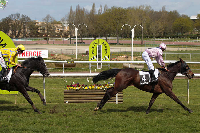 Pronostic quinté gratuit Prix After Work 2026