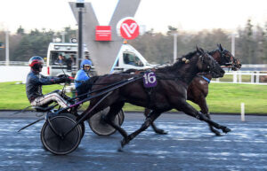Pronostic quinté gratuit Prix Rodhope 2026