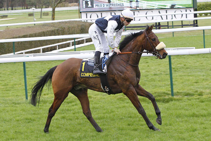Pronostic quinté gratuit Prix Race and Care 2026